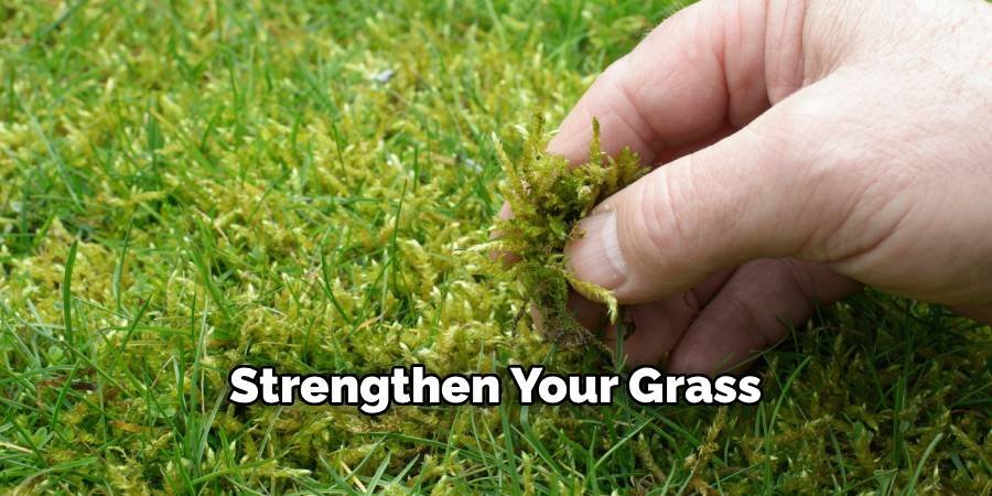 Strengthen Your Grass