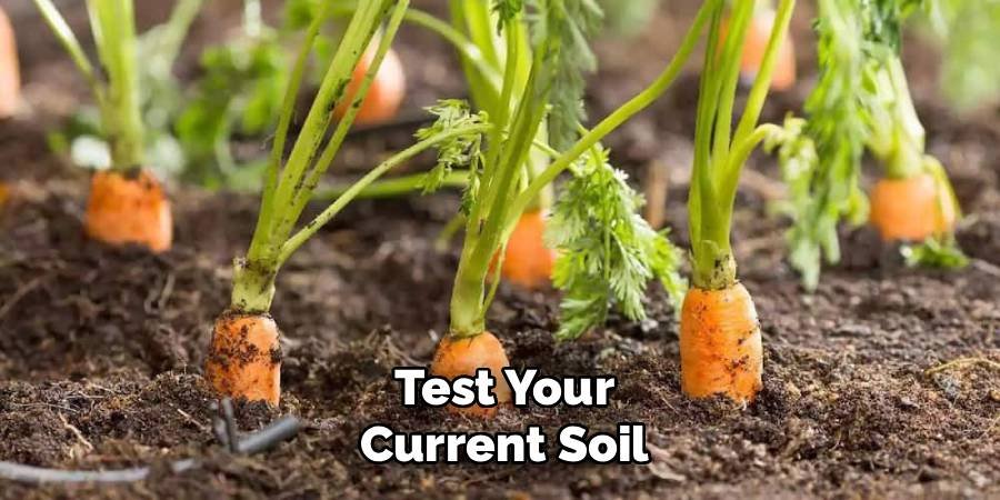 Test Your Current Soil