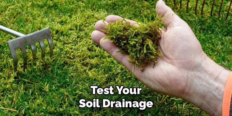 Test Your Soil Drainage
