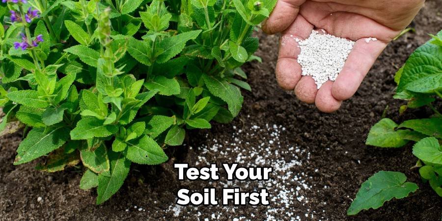Test Your Soil First