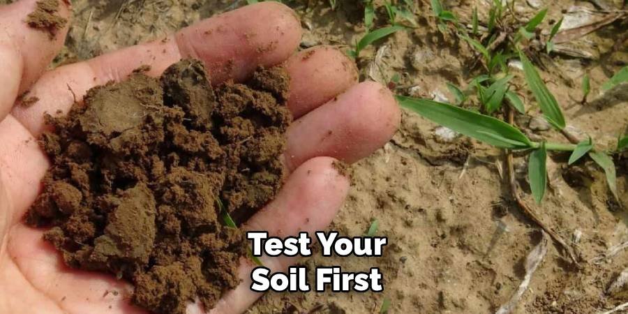Test Your Soil First