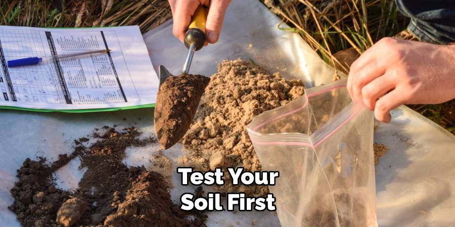 Test Your Soil First