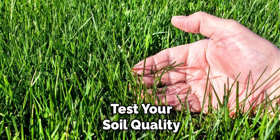 Test Your Soil Quality