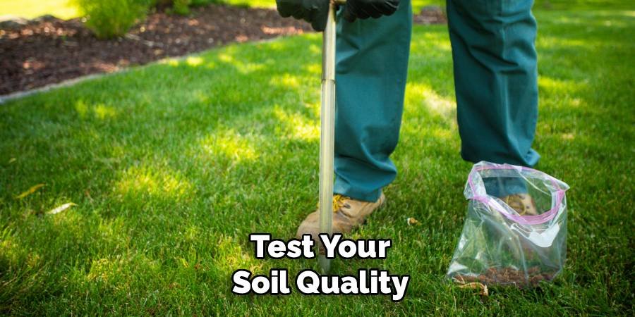 Test Your Soil Quality