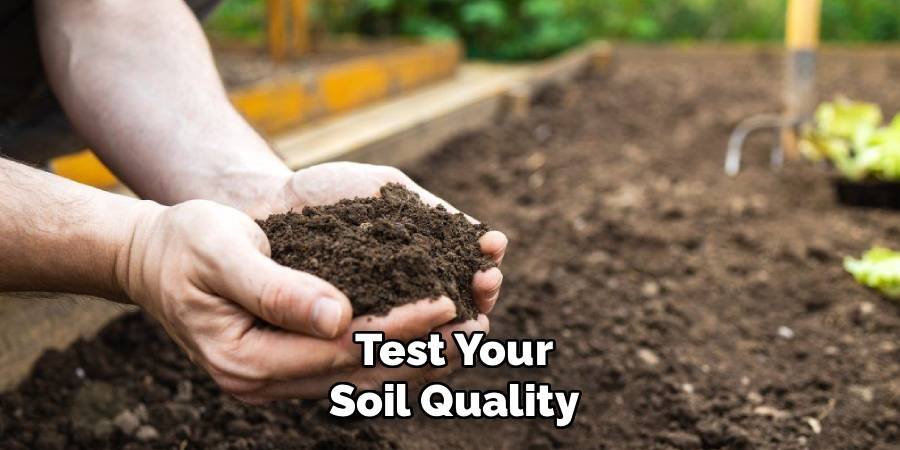 Test Your Soil Quality