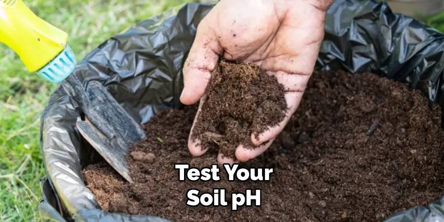 Test Your Soil pH