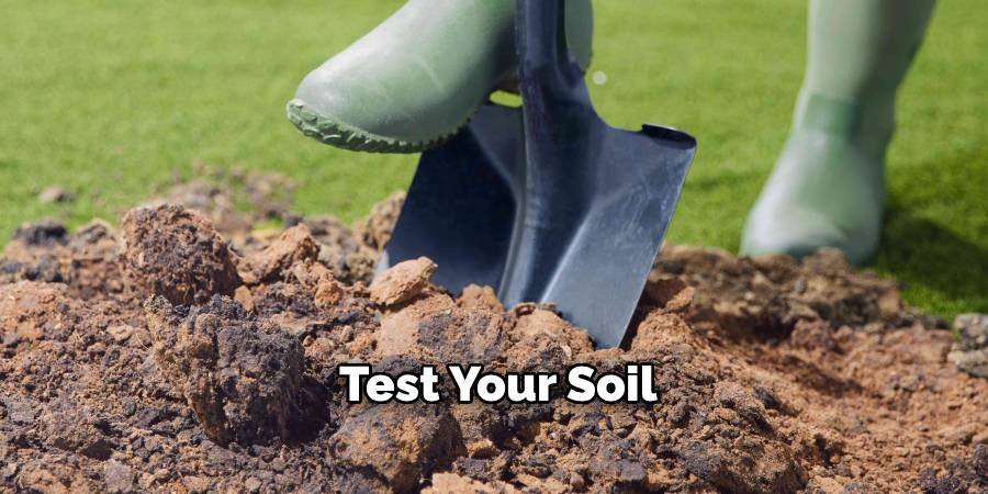 Test Your Soil