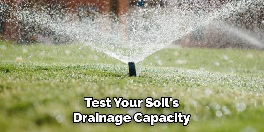 Test Your Soil's Drainage Capacity