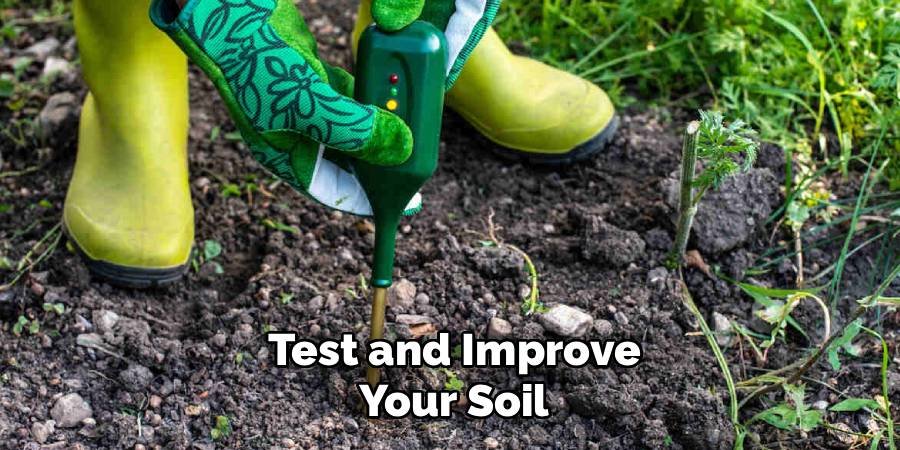 Test and Improve Your Soil