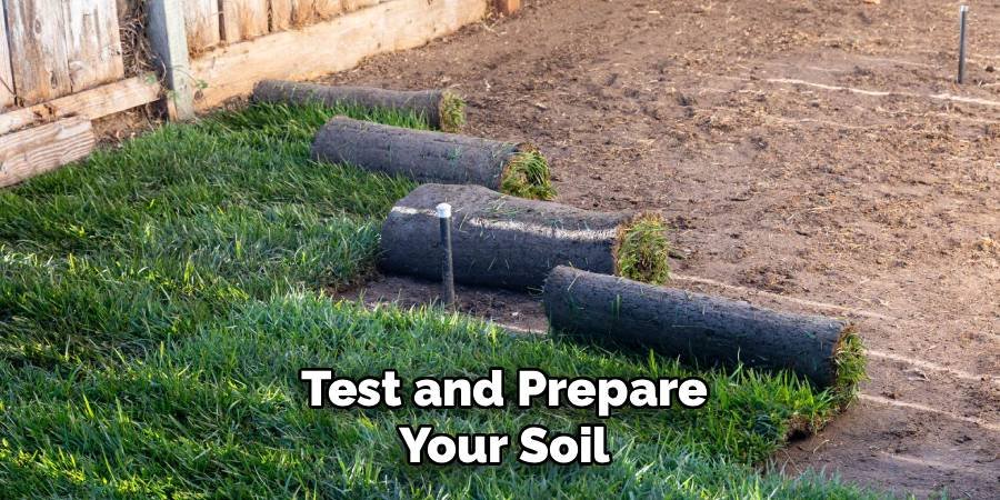 Test and Prepare Your Soil