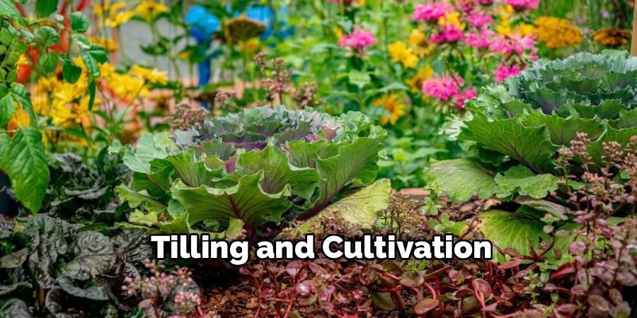 Tilling and Cultivation
