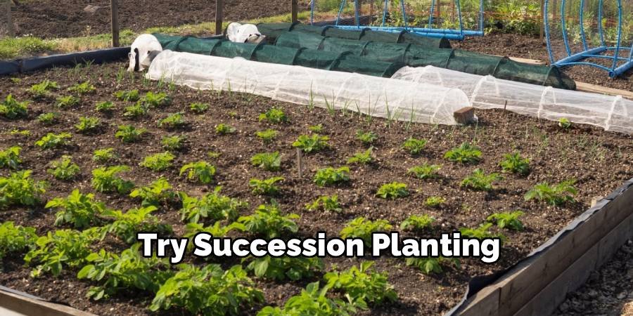 Try Succession Planting