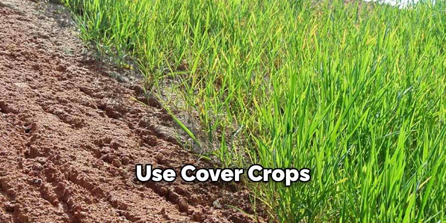 Use Cover Crops