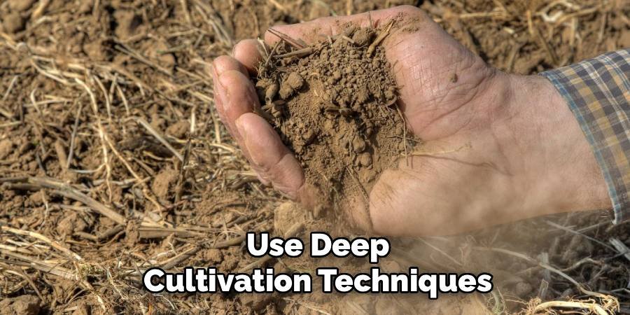 Use Deep Cultivation Techniques
