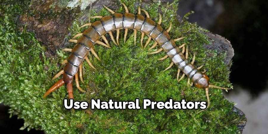 Use Natural Predators