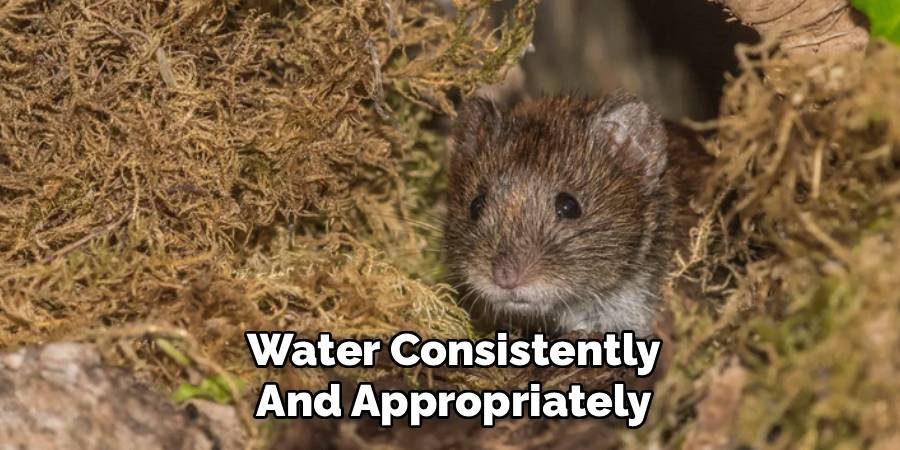 Water Consistently and Appropriately