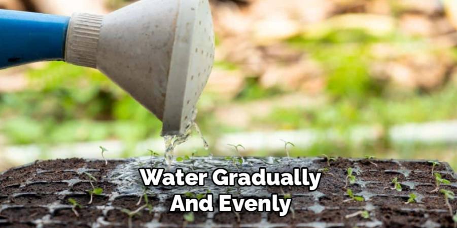 Water Gradually and Evenly