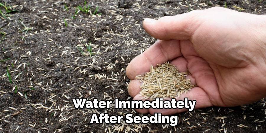Water Immediately After Seeding