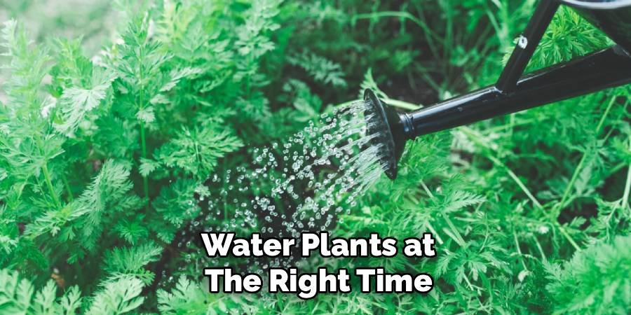 Water Plants at the Right Time