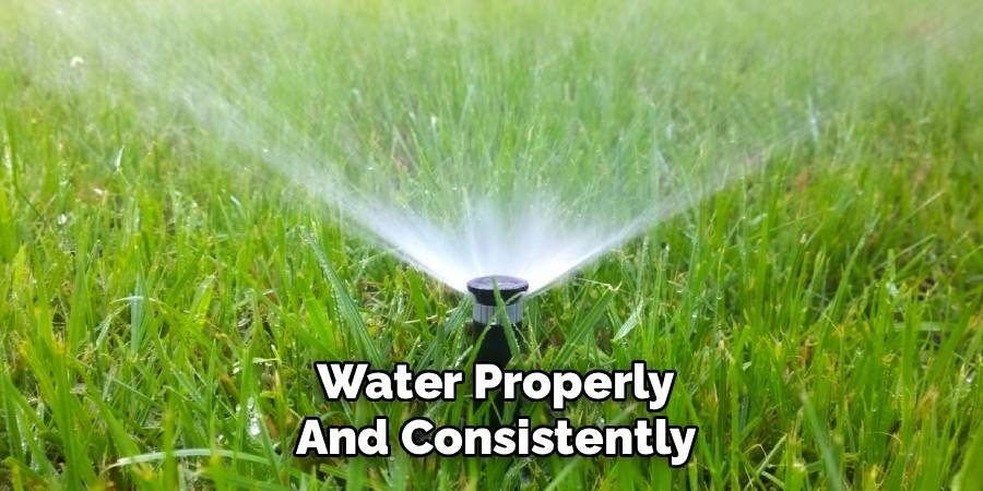 Water Properly and Consistently