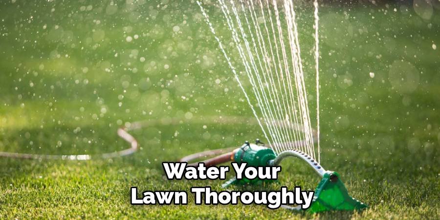 Water Your Lawn Thoroughly
