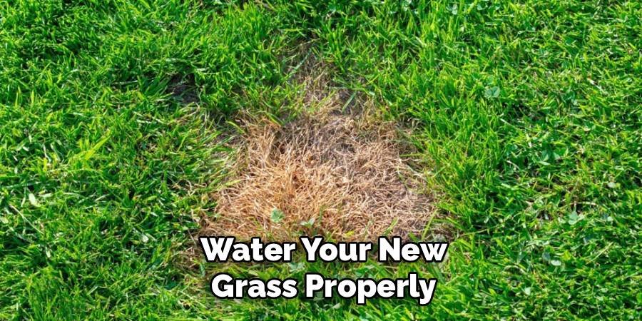 Water Your New Grass Properly