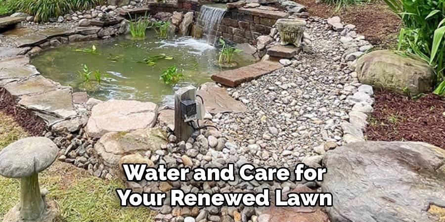 Water and Care for Your Renewed Lawn
