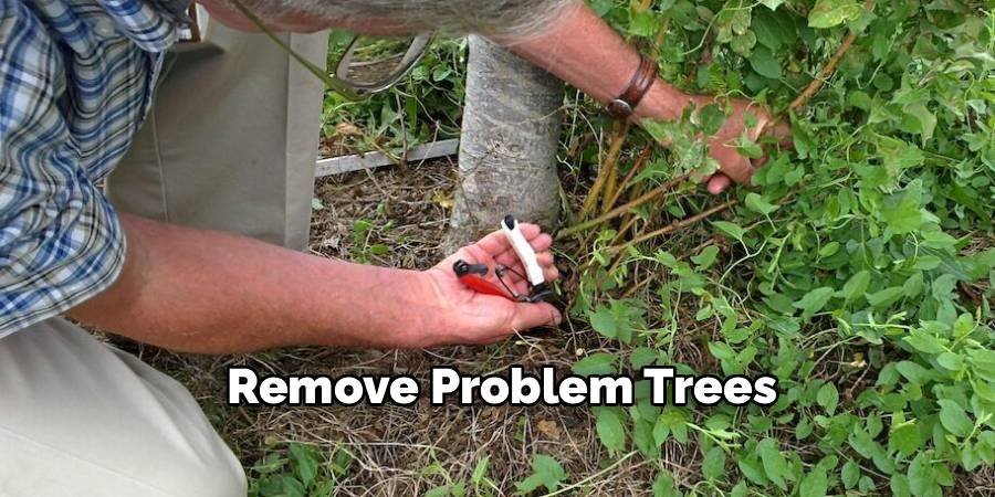 Remove Problem Trees