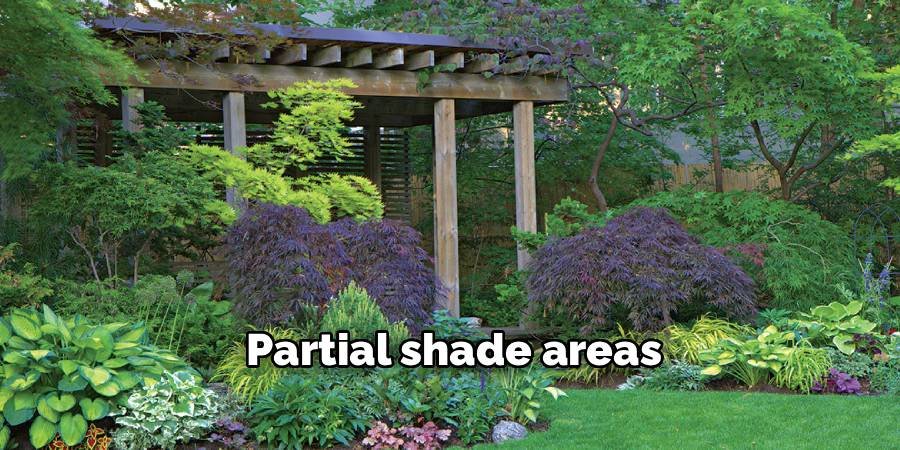 Partial shade areas