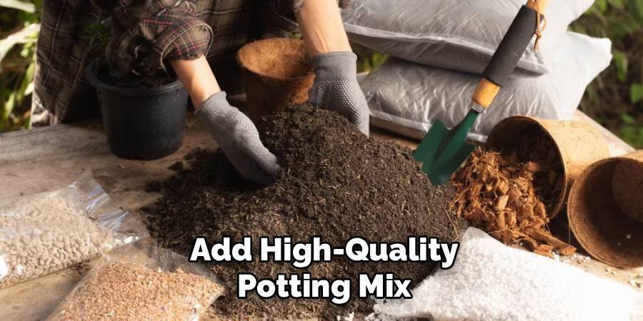 Add High-Quality Potting Mix