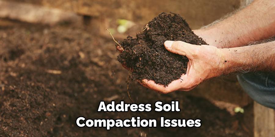 Address Soil Compaction Issues