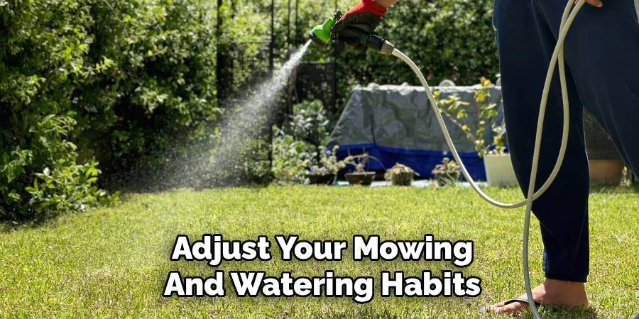 Adjust Your Mowing and Watering Habits