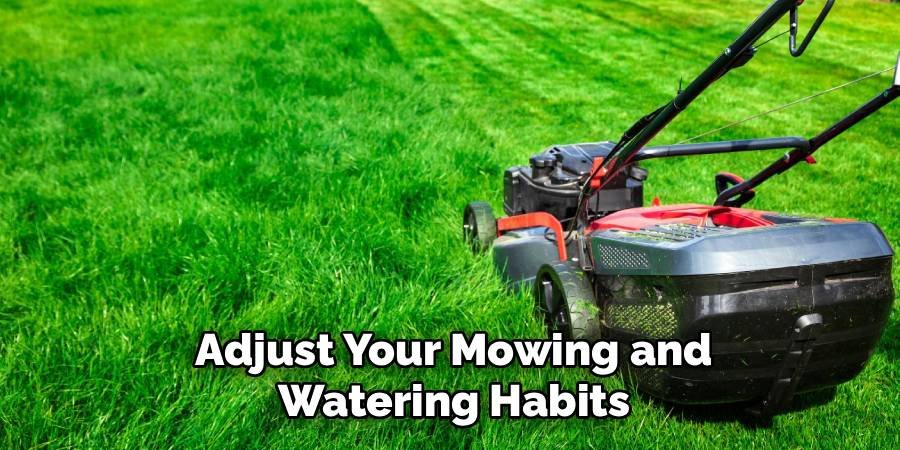 Adjust Your Mowing and Watering Habits