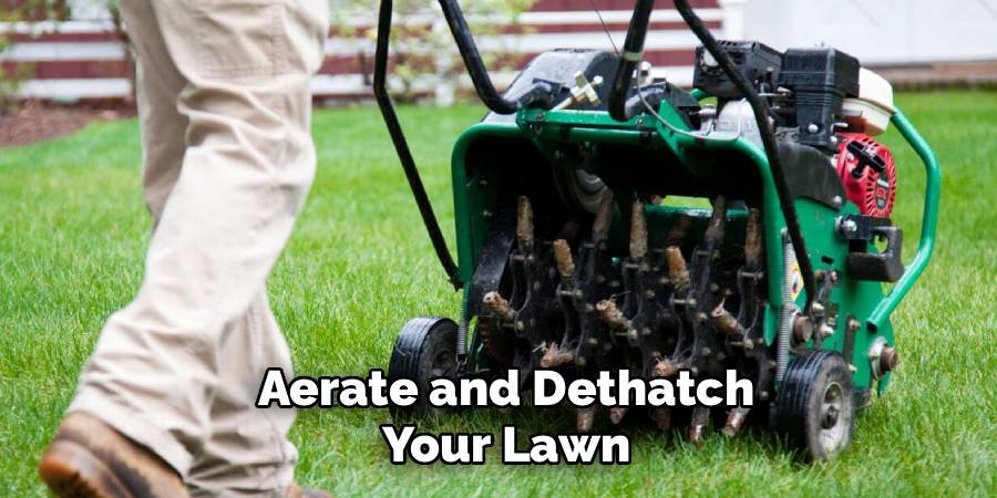 Aerate and Dethatch Your Lawn