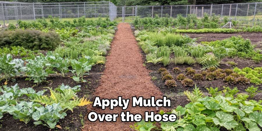 Apply Mulch Over the Hose