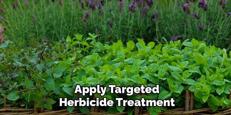 Apply Targeted Herbicide Treatment