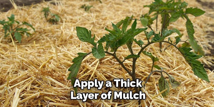 Apply a Thick Layer of Mulch