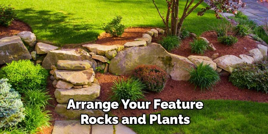 Arrange Your Feature Rocks and Plants