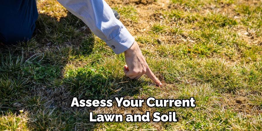 Assess Your Current Lawn and Soil