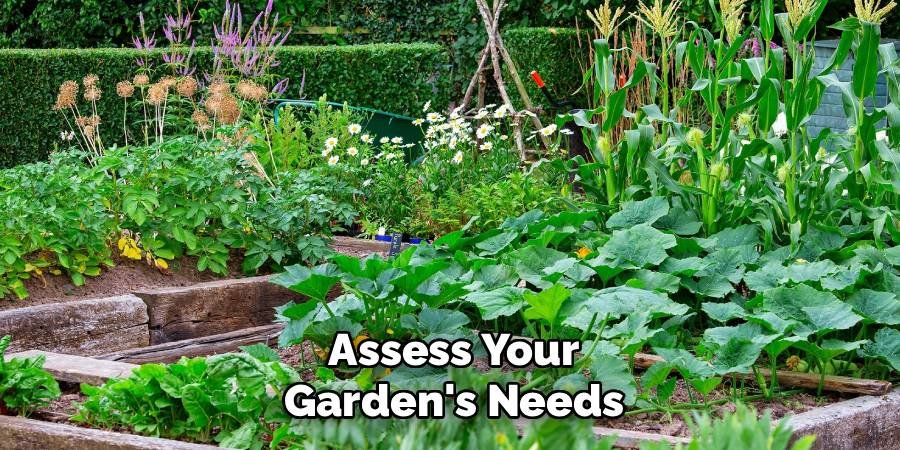 Assess Your Garden's Needs
