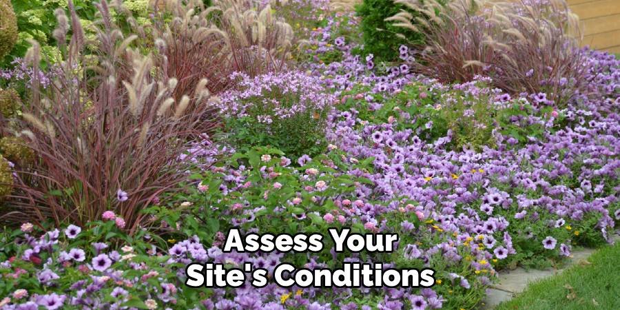 Assess Your Site's Conditions