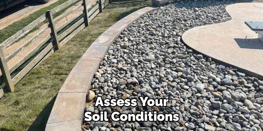 Assess Your Soil Conditions