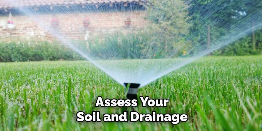 Assess Your Soil and Drainage