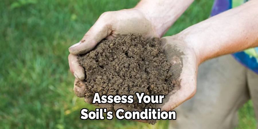 Assess Your Soil's Condition