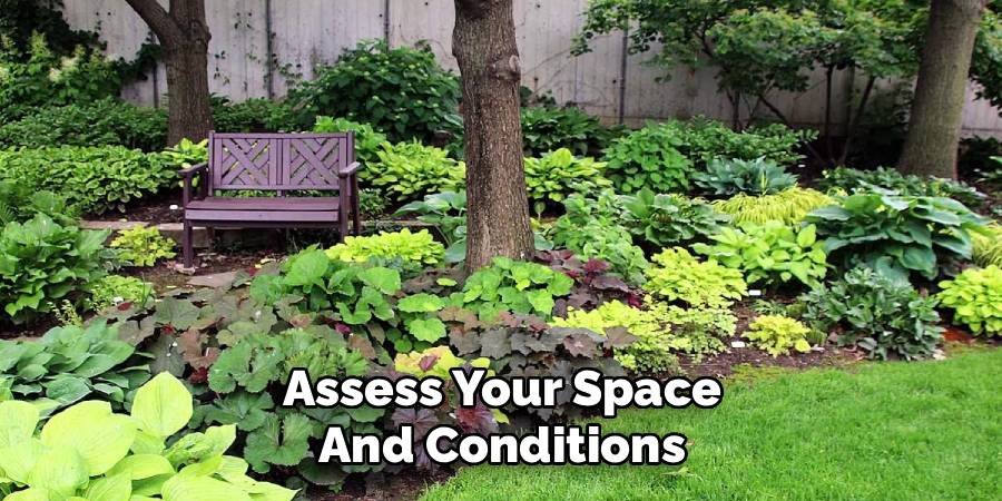 Assess Your Space and Conditions