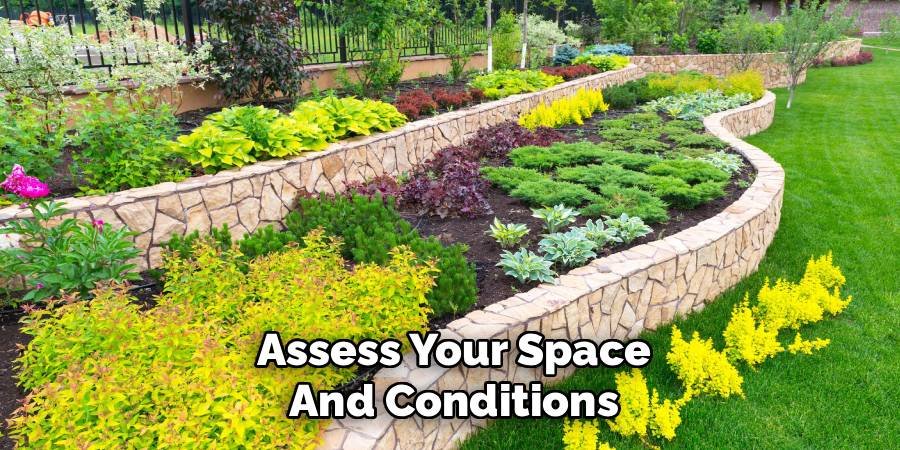 Assess Your Space and Conditions
