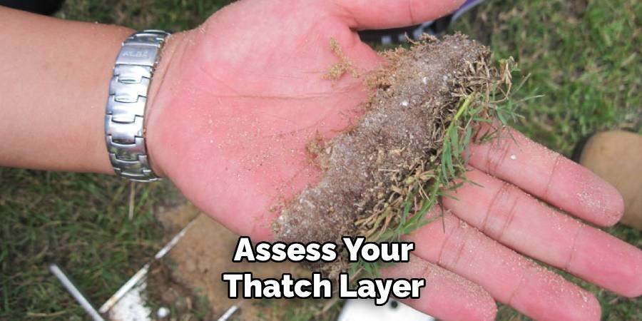 Assess Your Thatch Layer