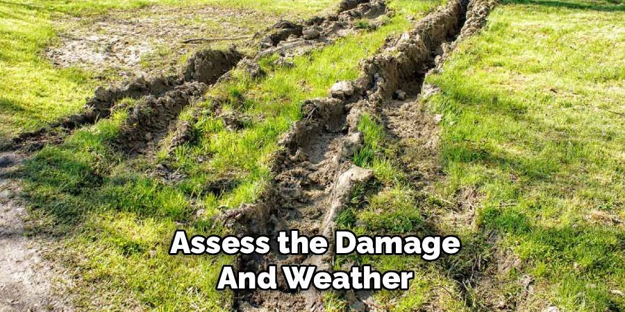 Assess the Damage and Weather