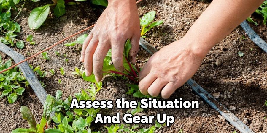 Assess the Situation and Gear Up