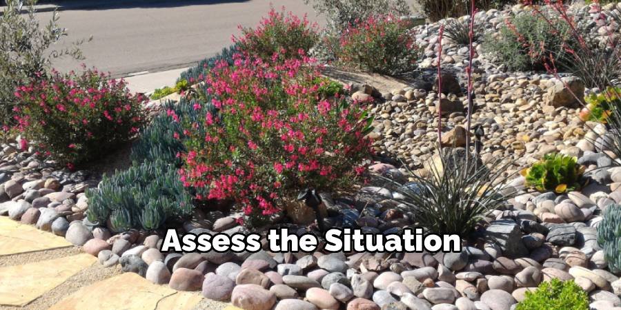 Assess the Situation